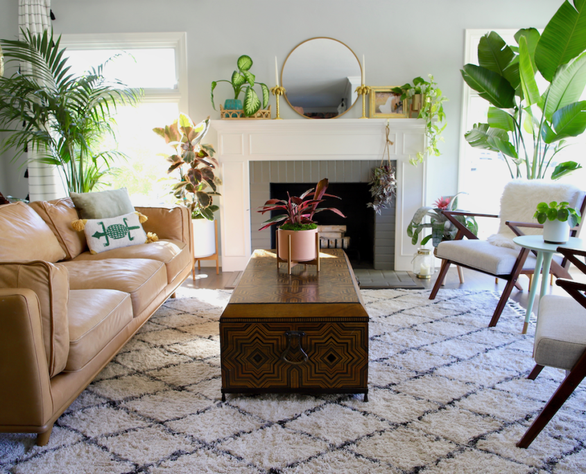 Embrace the Luck of the Irish: Bring the Beauty of Green into Your Home ...